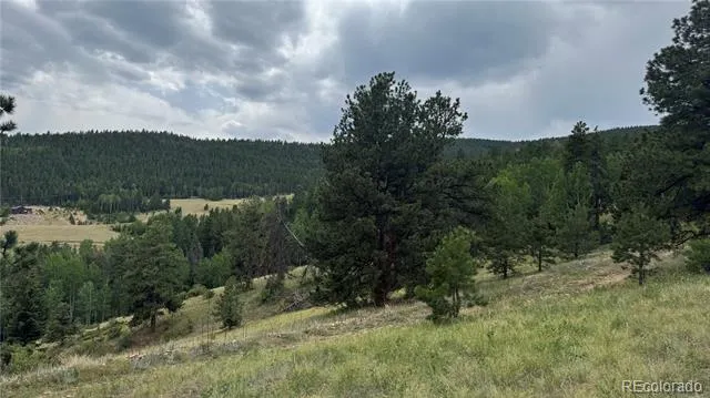003 Church Placer Road Central City, CO 80427