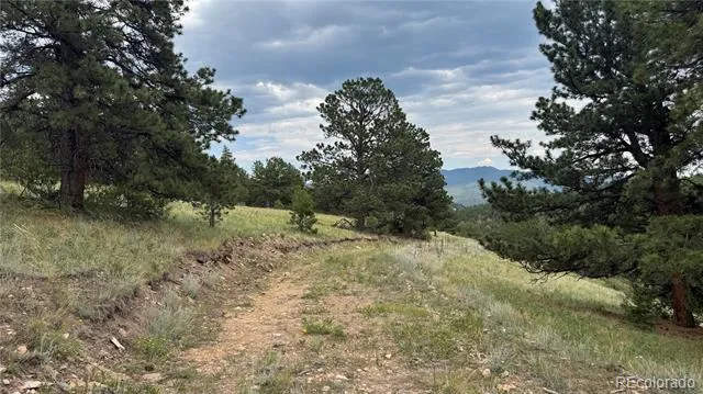 003 Church Placer Road Central City, CO 80427