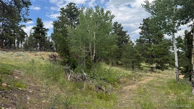 003 Church Placer Road Central City, CO 80427