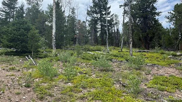003 Church Placer Road Central City, CO 80427