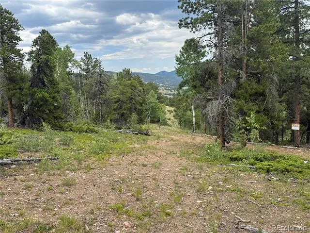 003 Church Placer Road Central City, CO 80427