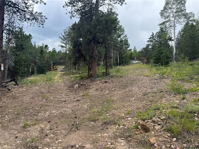 003 Church Placer Road Central City, CO 80427