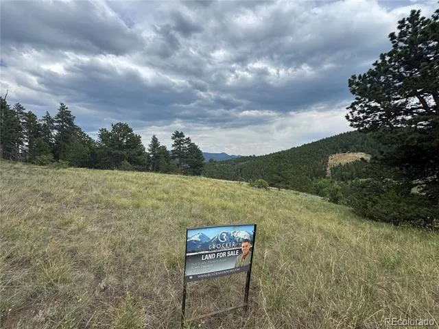 003 Church Placer Road Central City, CO 80427
