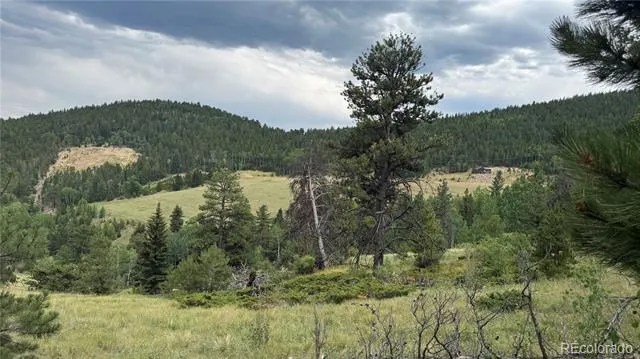 003 Church Placer Road Central City, CO 80427