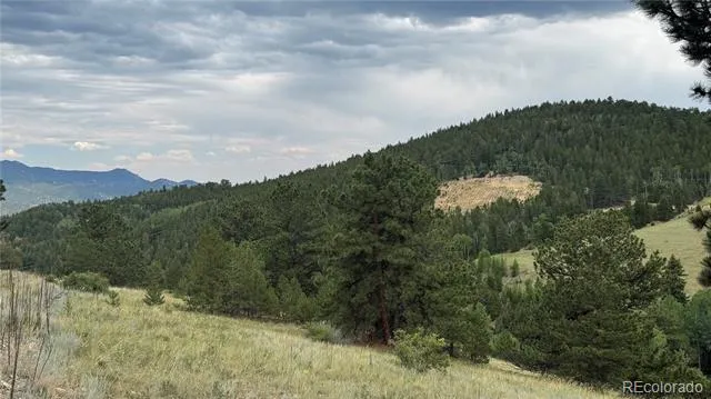 003 Church Placer Road Central City, CO 80427
