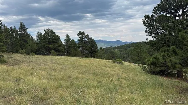 003 Church Placer Road Central City, CO 80427