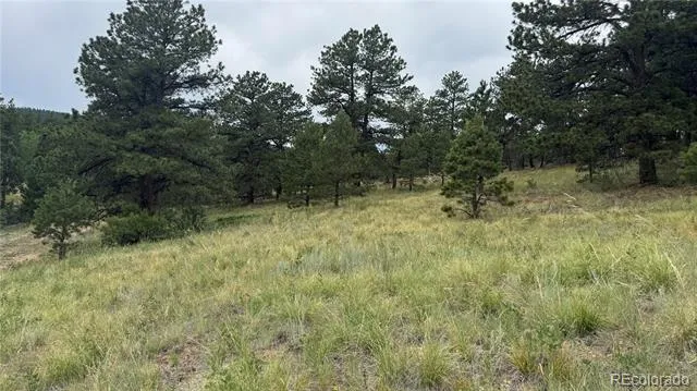003 Church Placer Road Central City, CO 80427