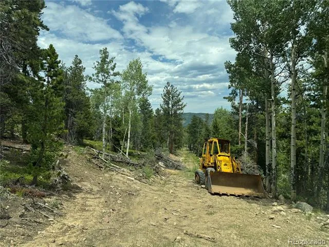 003 Church Placer Road Central City, CO 80427