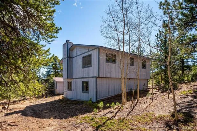 55 W Crosscut Bailey, CO 80421