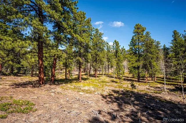 55 W Crosscut Bailey, CO 80421