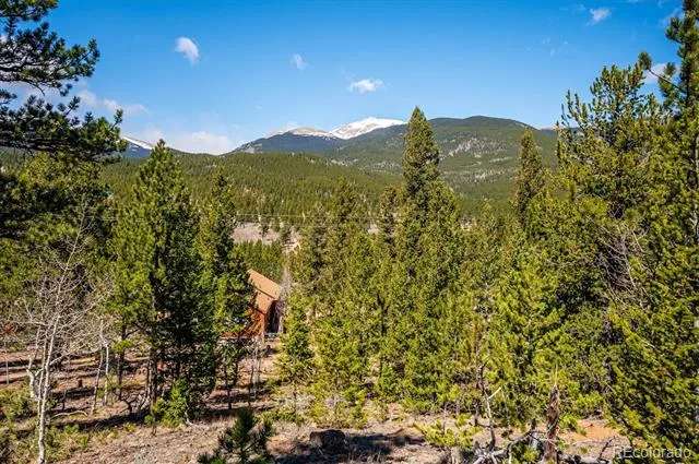 55 W Crosscut Bailey, CO 80421
