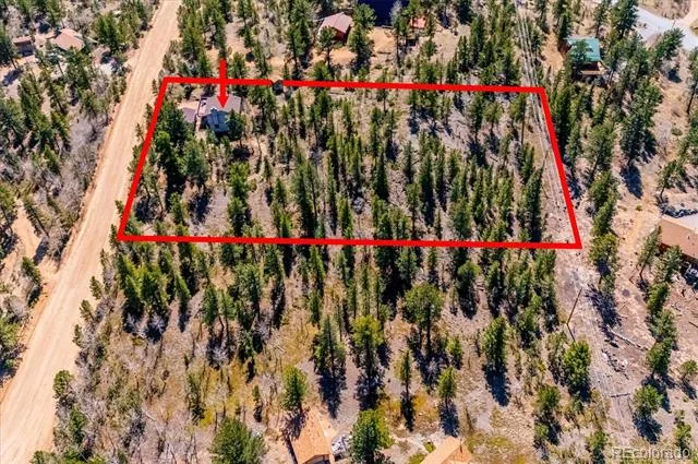 55 W Crosscut Bailey, CO 80421