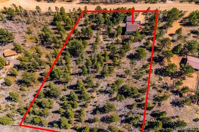 55 W Crosscut Bailey, CO 80421