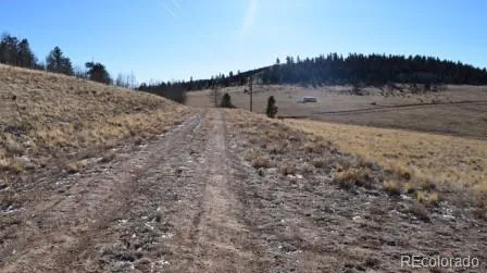135 Navajo Trail Hartsel, CO 80449
