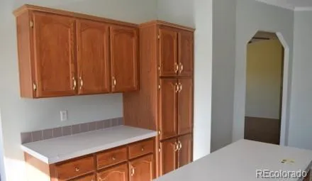 135 Navajo Trail Hartsel, CO 80449