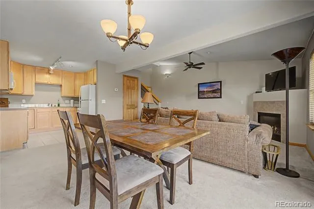 100 Wildernest Court #203C Silverthorne, CO 80498