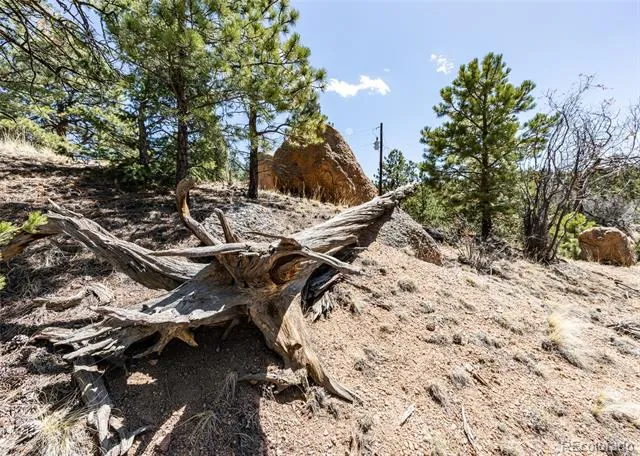 110 La Abu Trail Florissant, CO 80816