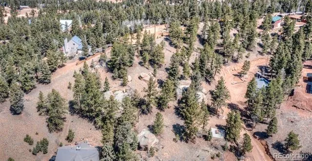 110 La Abu Trail Florissant, CO 80816