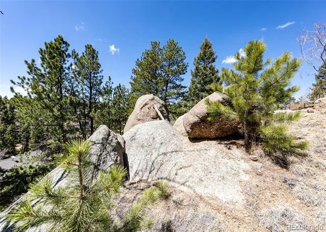 110 La Abu Trail Florissant, CO 80816