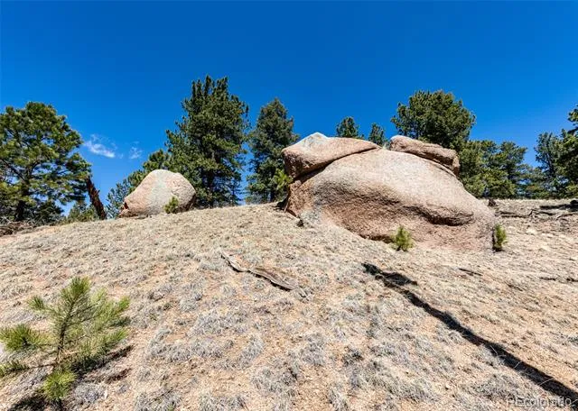 110 La Abu Trail Florissant, CO 80816