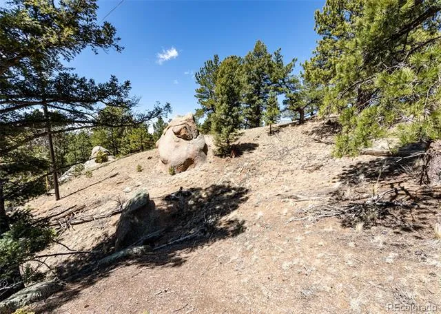 110 La Abu Trail Florissant, CO 80816