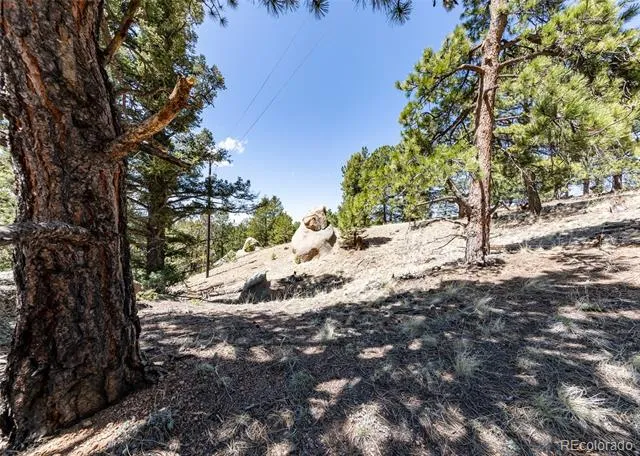110 La Abu Trail Florissant, CO 80816