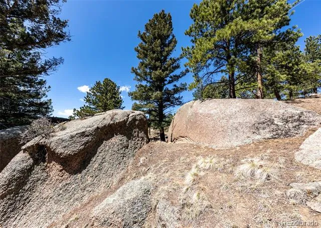 110 La Abu Trail Florissant, CO 80816