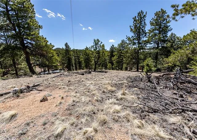 110 La Abu Trail Florissant, CO 80816