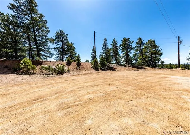 110 La Abu Trail Florissant, CO 80816
