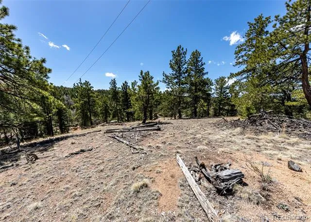 110 La Abu Trail Florissant, CO 80816