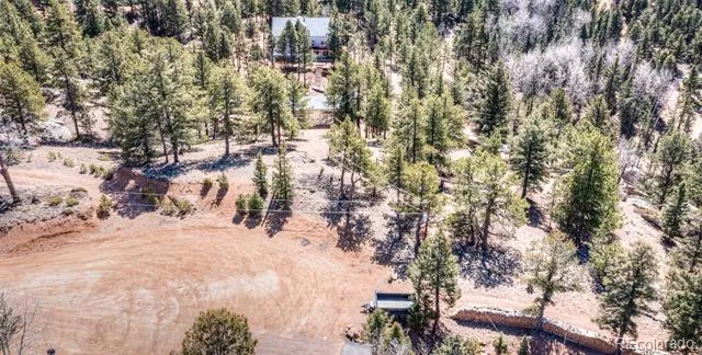 110 La Abu Trail Florissant, CO 80816