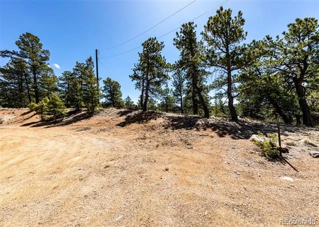 110 La Abu Trail Florissant, CO 80816