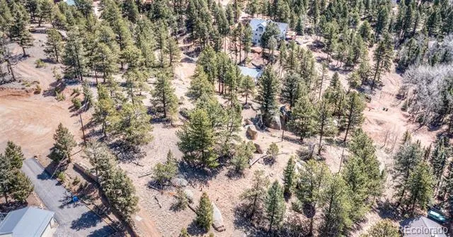 110 La Abu Trail Florissant, CO 80816