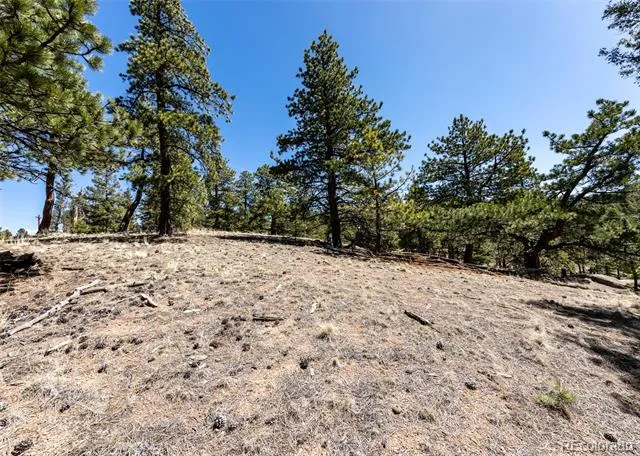 110 La Abu Trail Florissant, CO 80816