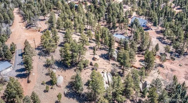 110 La Abu Trail Florissant, CO 80816