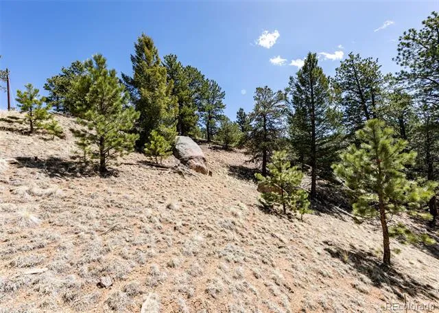 110 La Abu Trail Florissant, CO 80816