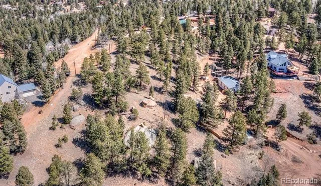 110 La Abu Trail Florissant, CO 80816
