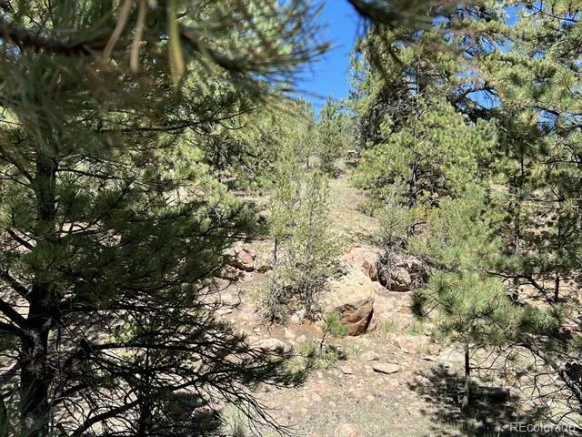 82 Kiowa Circle Westcliffe, CO 81252