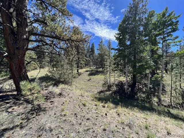 82 Kiowa Circle Westcliffe, CO 81252