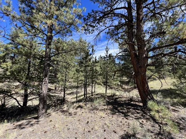 82 Kiowa Circle Westcliffe, CO 81252