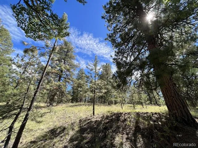 82 Kiowa Circle Westcliffe, CO 81252
