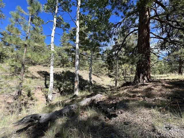 82 Kiowa Circle Westcliffe, CO 81252