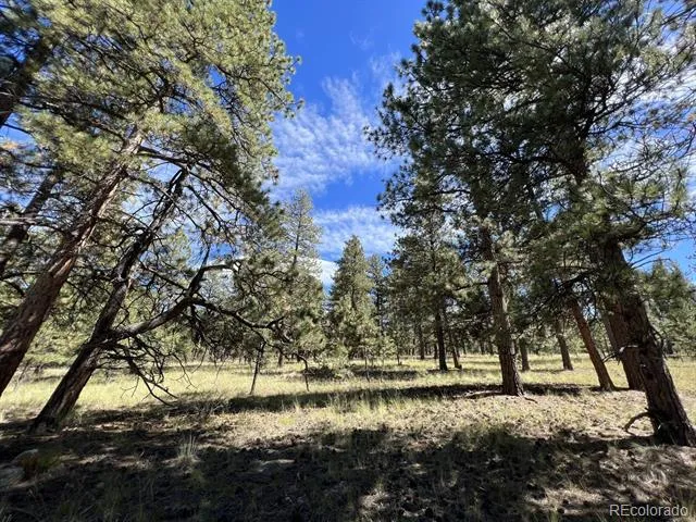 82 Kiowa Circle Westcliffe, CO 81252