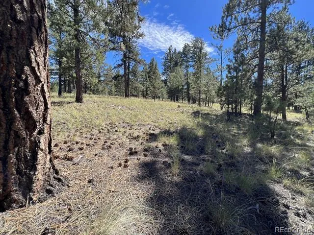 82 Kiowa Circle Westcliffe, CO 81252
