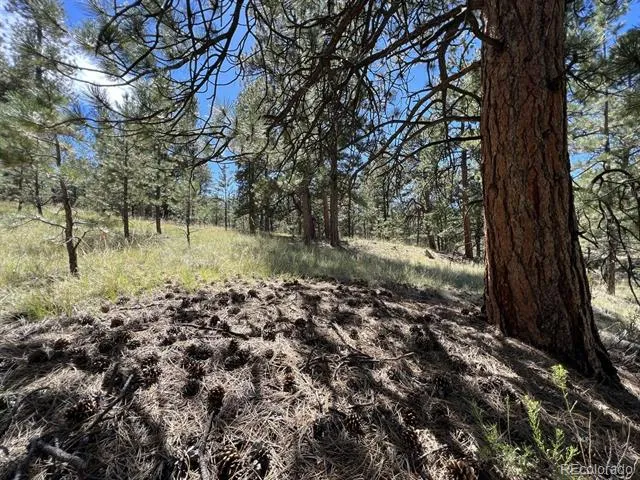 82 Kiowa Circle Westcliffe, CO 81252