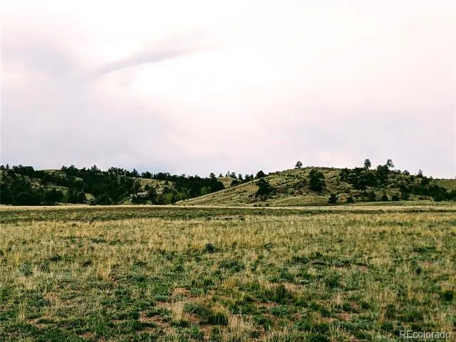 2667 Cahokia Road Hartsel, CO 80449