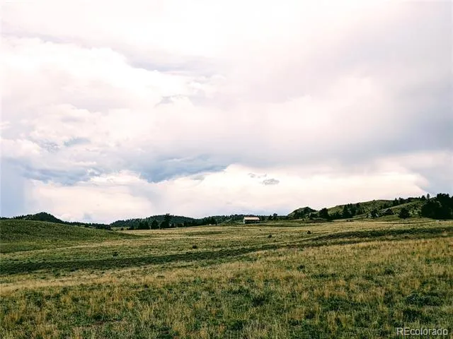 2667 Cahokia Road Hartsel, CO 80449