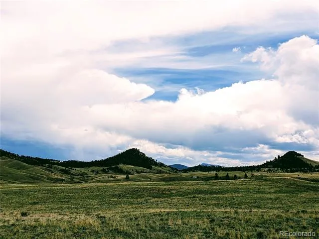 2667 Cahokia Road Hartsel, CO 80449