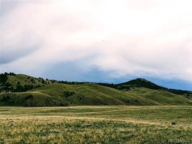 2667 Cahokia Road Hartsel, CO 80449