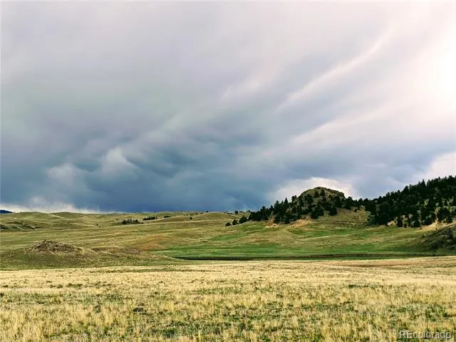 2667 Cahokia Road Hartsel, CO 80449